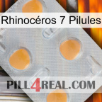 Rhinocéros 7 Pilules 24